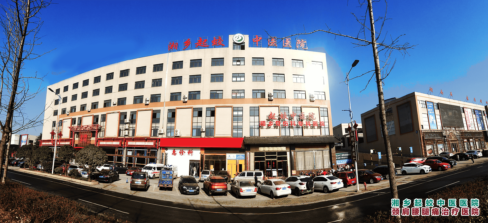 湘乡起蛟中医院创伤骨科专家团队：以医者初心，疗患者骨伤之痛